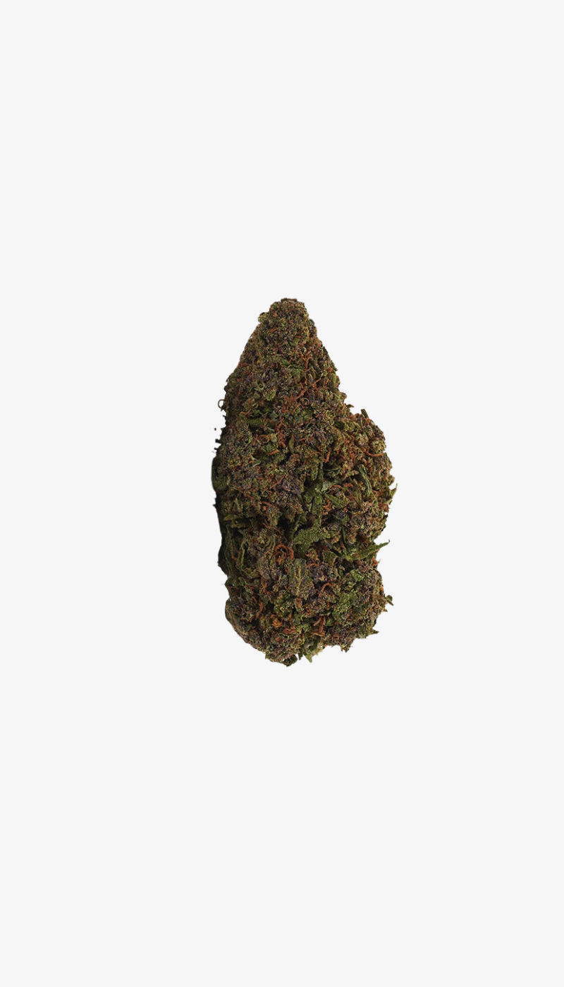 une photo packshot du Sour Diesel CBD ( vue de face) sur un fond blanc