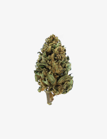 🎁 Strawberry Small Buds (100 % de descuento)
