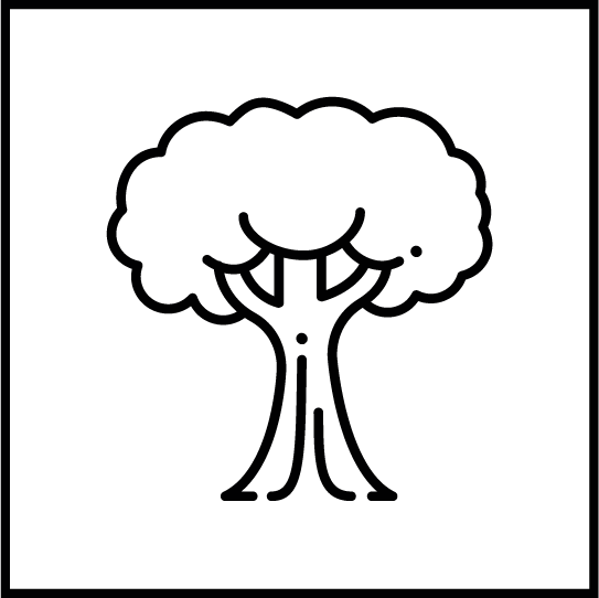 insignia