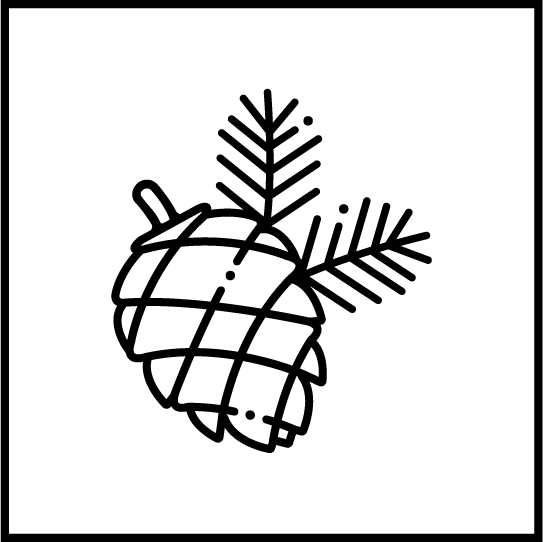 crachá