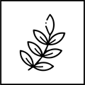 Herbacé