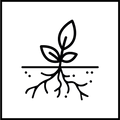 Terreux